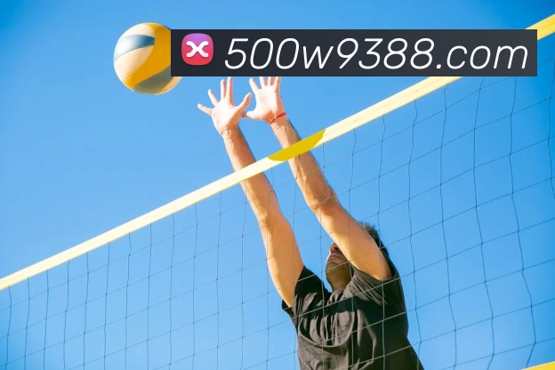 500万彩票网服务体系